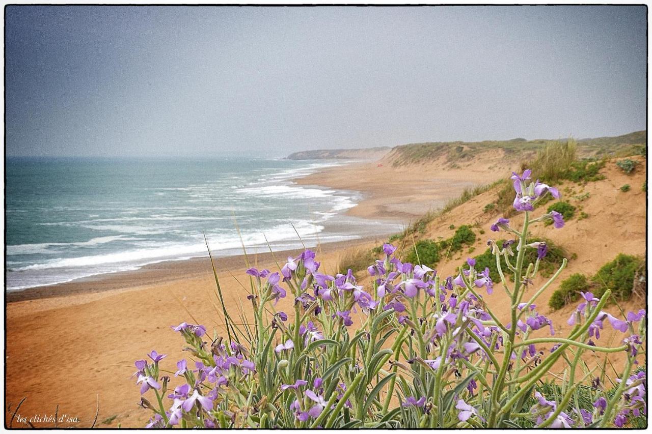 La Calypsette - Face Grande Plage Des Sables D'Olonne Les Sables-dʼOlonne Buitenkant foto